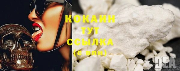 амф Кулебаки