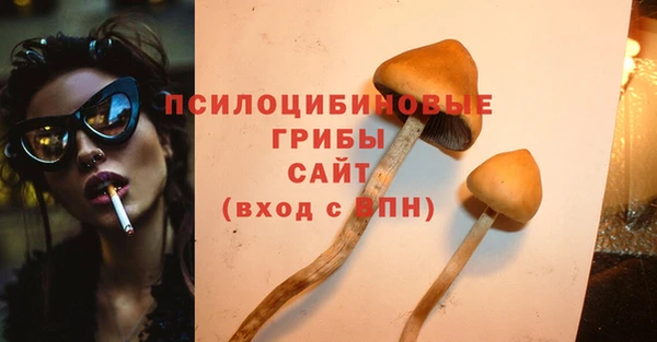 амф Кулебаки
