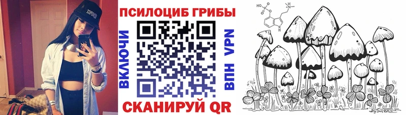 Купить где  Рославль  Галлюциногенные грибы Psilocybine cubensis 